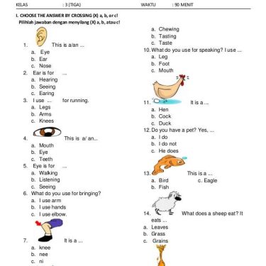 bahasa inggris kelas 1 sd latihan soal