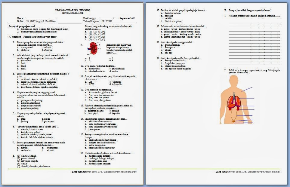 Terbukti! 5 Cara Cepat Kuasai biologi kelas 2 soal tentang materi ekskresi Sebelum Ujian