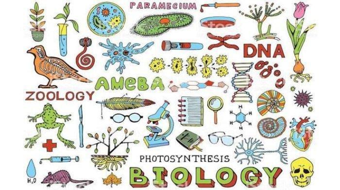 Rahasia Skor Tinggi Lewat Bocoran Biologi Soal Semester 2 Kelas XI yang Wajib Tahu